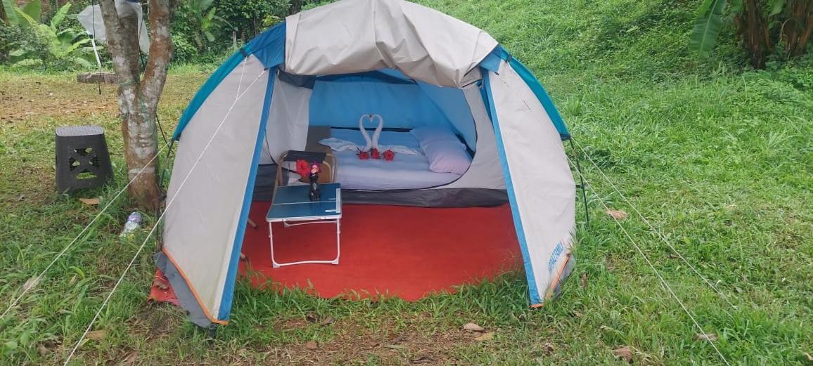 Munnar Tent Hills Resort Devikolam Exteriér fotografie
