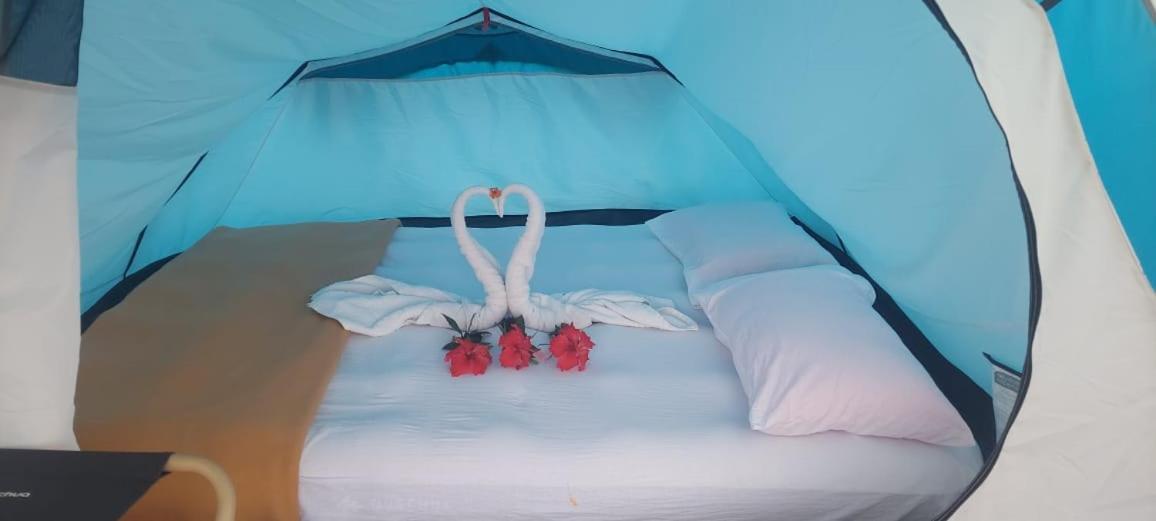 Munnar Tent Hills Resort Devikolam Pokoj fotografie