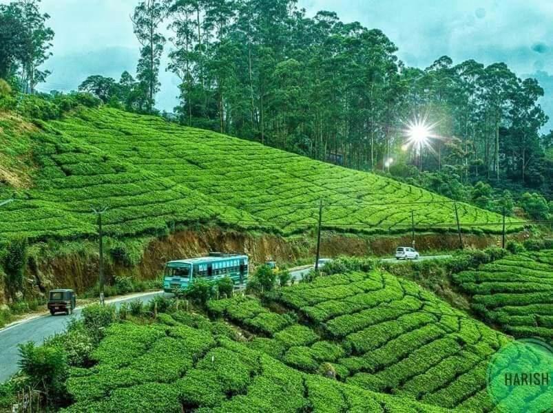 Munnar Tent Hills Resort Devikolam Exteriér fotografie