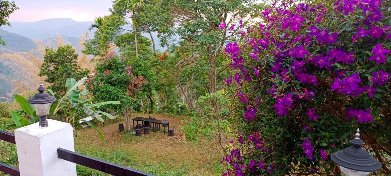 Munnar Tent Hills Resort Devikolam Exteriér fotografie