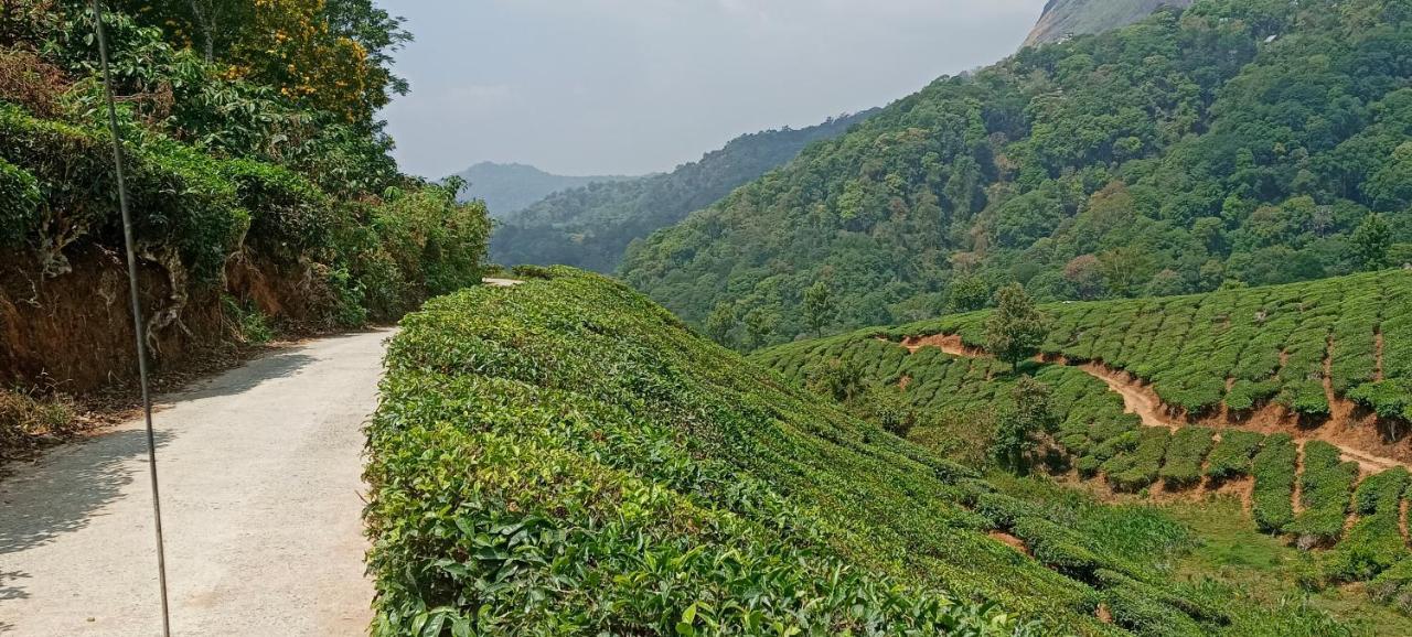 Munnar Tent Hills Resort Devikolam Exteriér fotografie