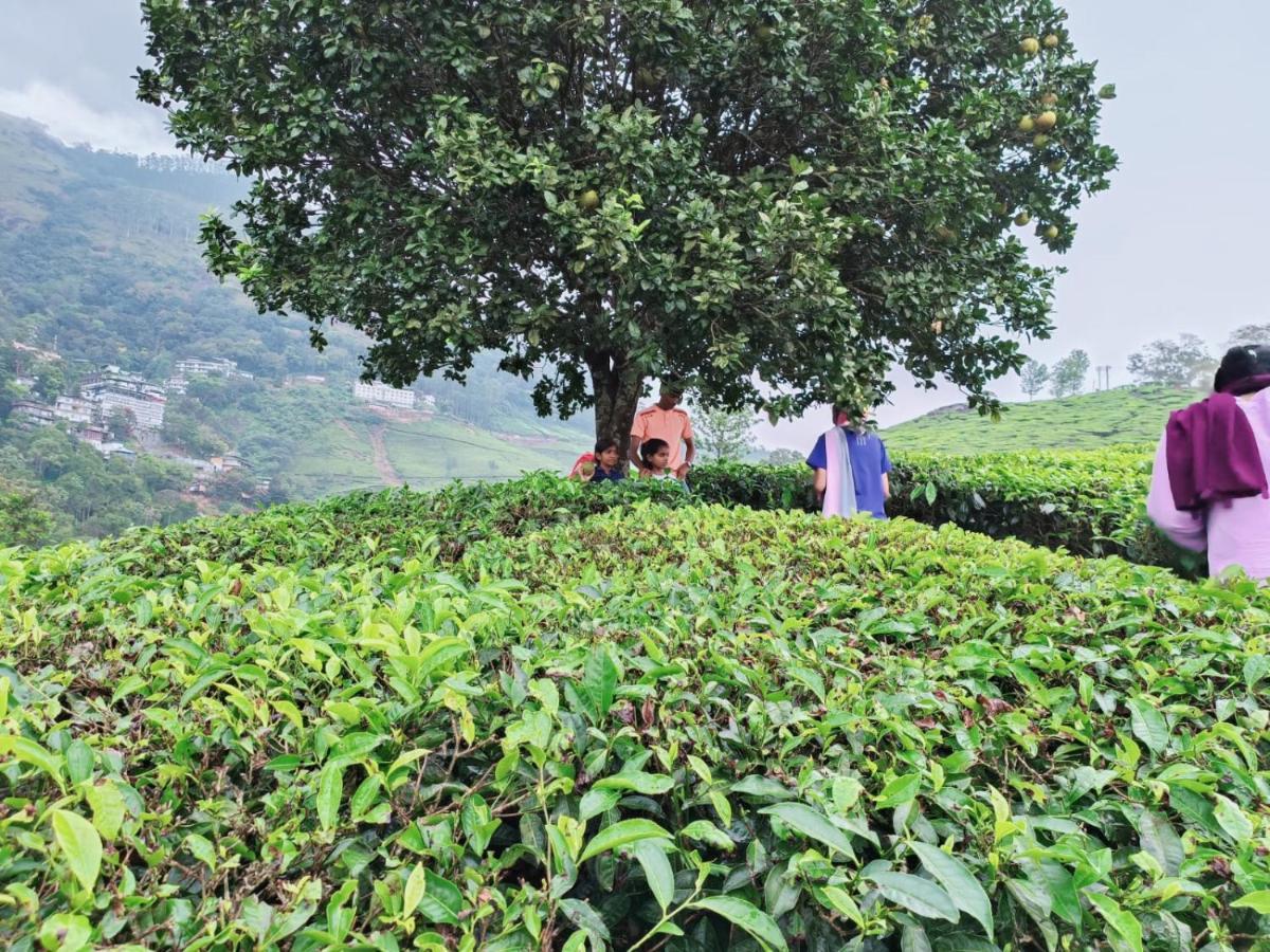 Munnar Tent Hills Resort Devikolam Exteriér fotografie